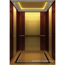 Ascenseur de passager d&#39;Aksen Golden Mirror (K-J003)